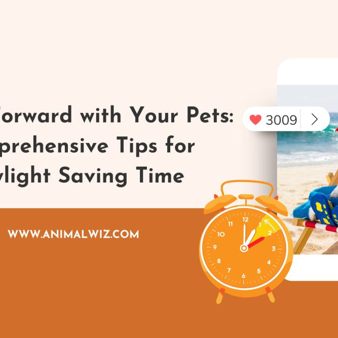 Spring Forward with Your Pets: Comprehensive Tips for Daylight Saving Time - shopanimalwiz.com