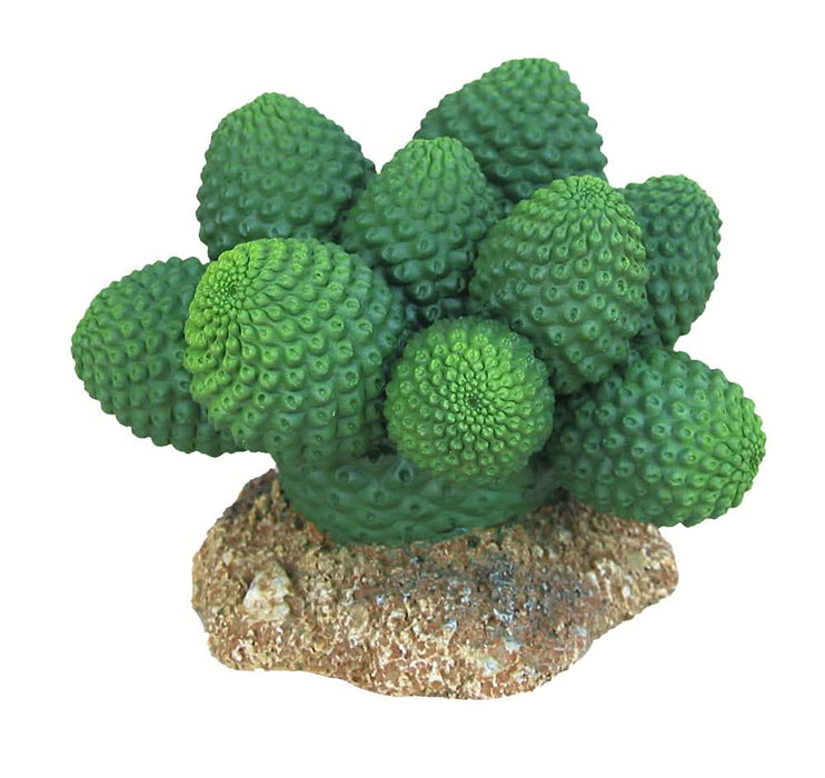 Weco Products Wecorama Badlands Pointed Sonoran Cactus Terrarium Ornament Brown, Green 3 in