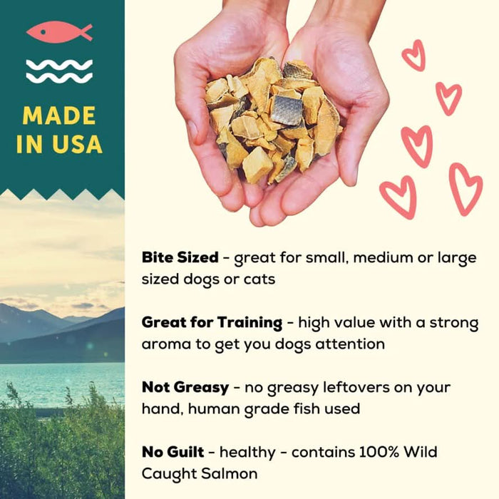 A Better Treat Single Ingredient Freeze Dried Raw Wild Caught Salmon Dog and Cat Treats - 860004608905