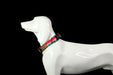 Glucklich Polyester Printed Adjustable Dog Collar - Pack of 1 - 8904401401331