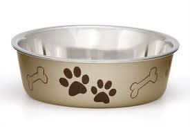 Loving Pets Champage Bella Bowl - 842982074545